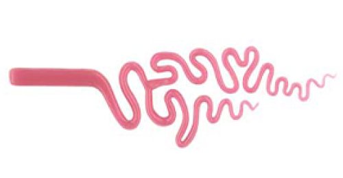 Blush - Origin Glass Boro Stix