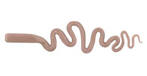 Coral Brown - Origin Glass Boro Stix
