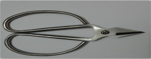 Small Shears