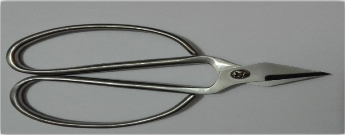 Small Shears
