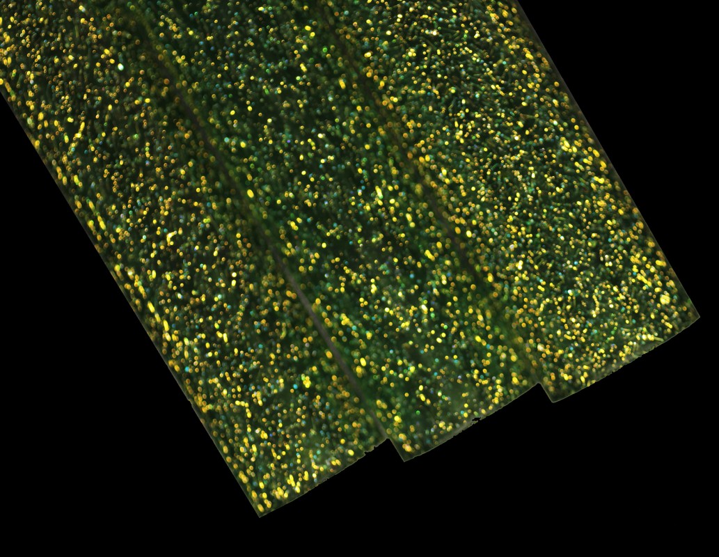 Gold Dichroic over Trautman Green Stardust Tubing