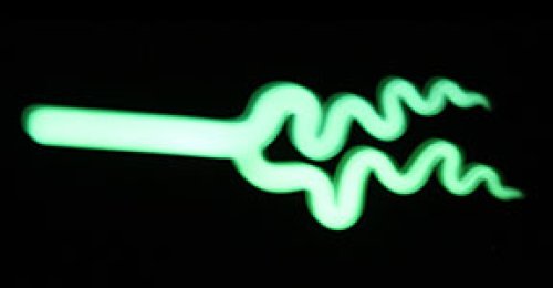 Aqua Glow - Origin Glass Boro Stix