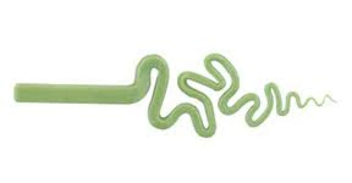 Lizzard Green - Origin Glass Boro Stix