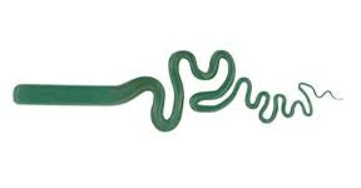 Jade Green - Origin Glass Boro Stix
