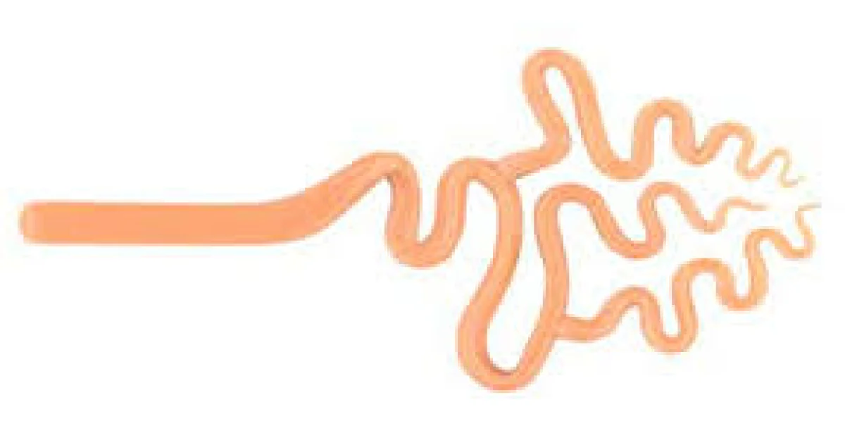 Tangerine - Origin Glass Boro Stix