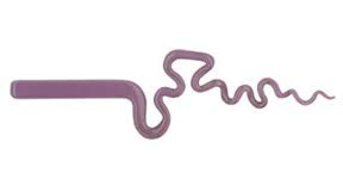 Spring Purple - Origin Glass Boro Stix