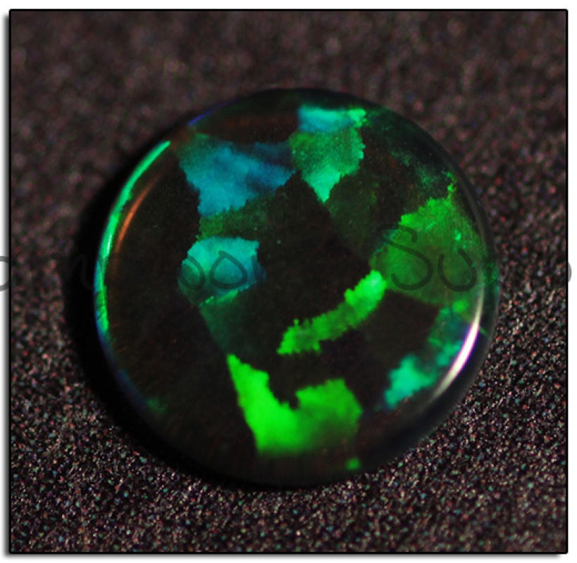 6mm Black Round Coin Opal with Green Fire
