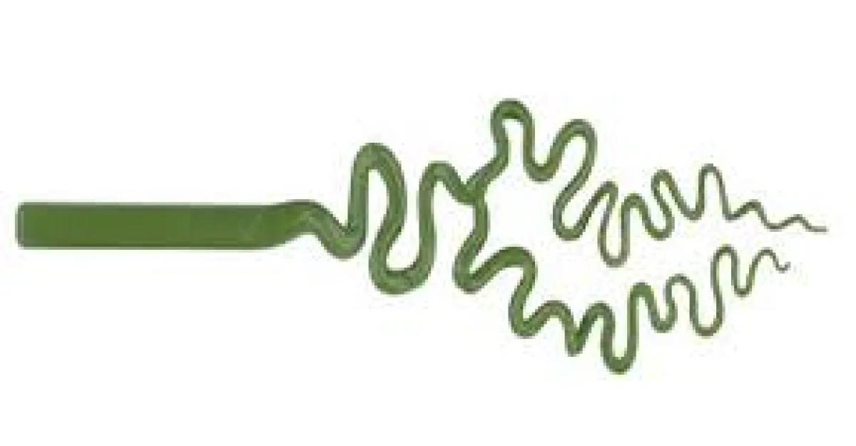 Ivy Green - Origin Glass Boro Stix